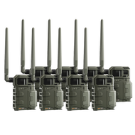 LM2-V 8 PACK PRE-OWNED
